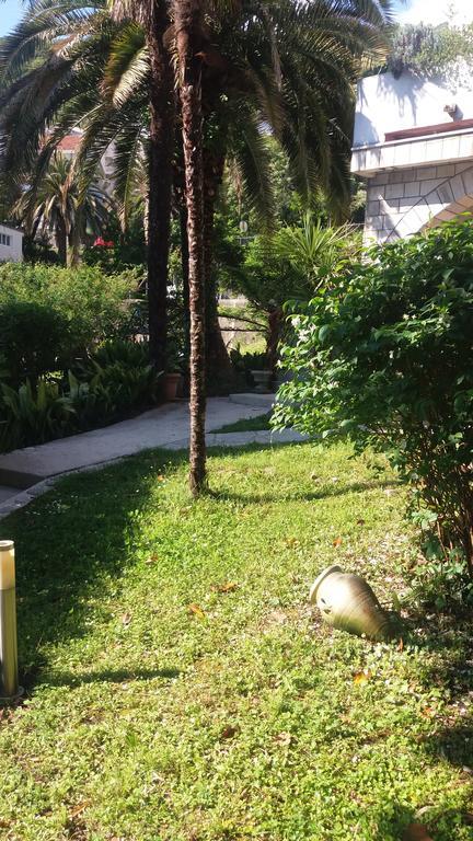 Apartman Taraca Villa Knezevic ヘルツェグ・ノヴィ エクステリア 写真